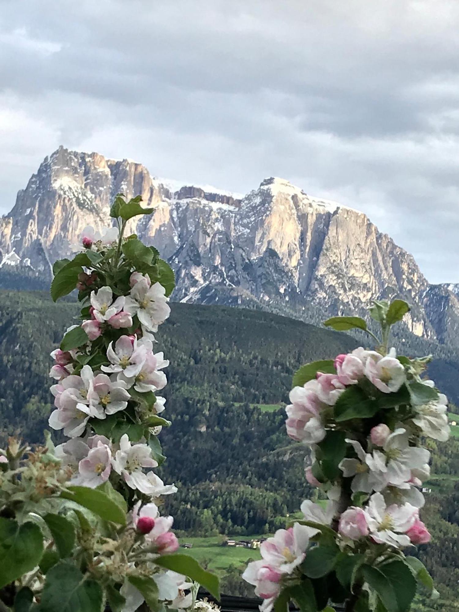 Gasserhof Barbiano  Kültér fotó