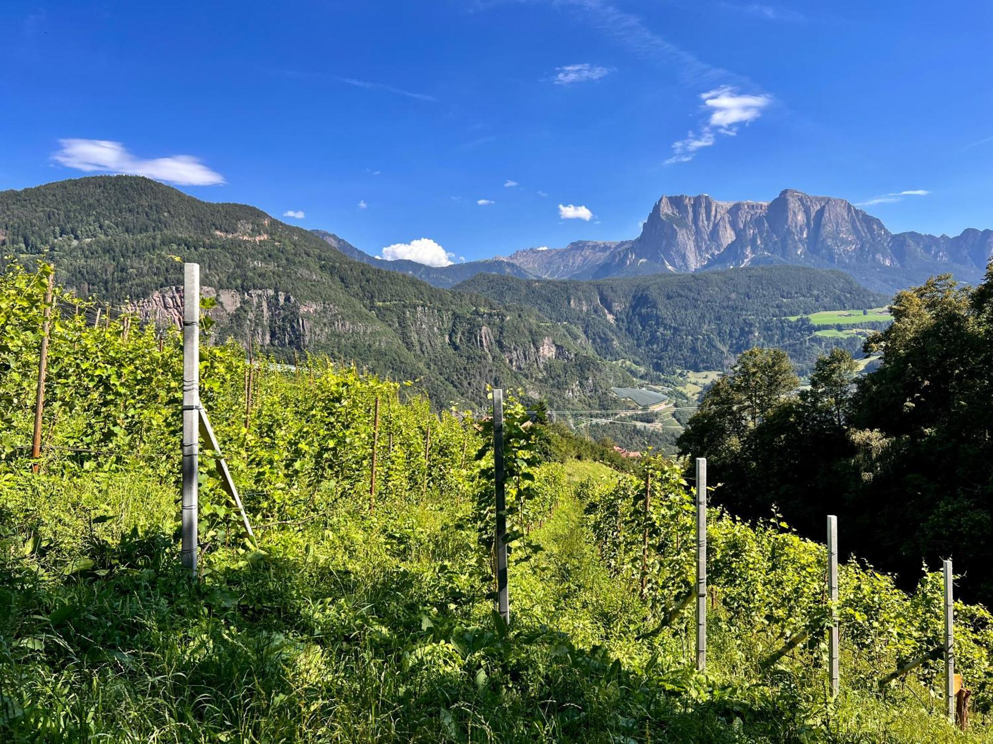 Gasserhof Barbiano  Kültér fotó