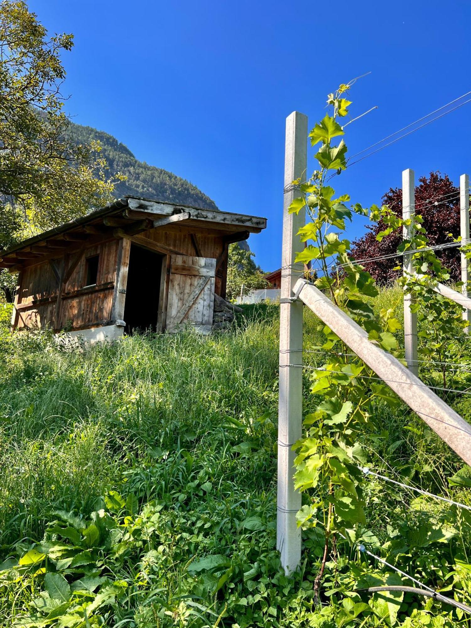Gasserhof Barbiano  Kültér fotó